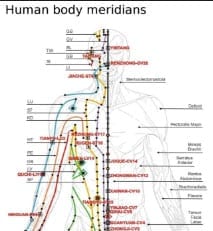 acupoint-meridians