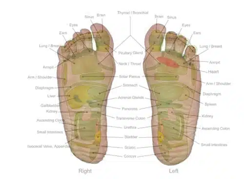 Reflexology and foot massage